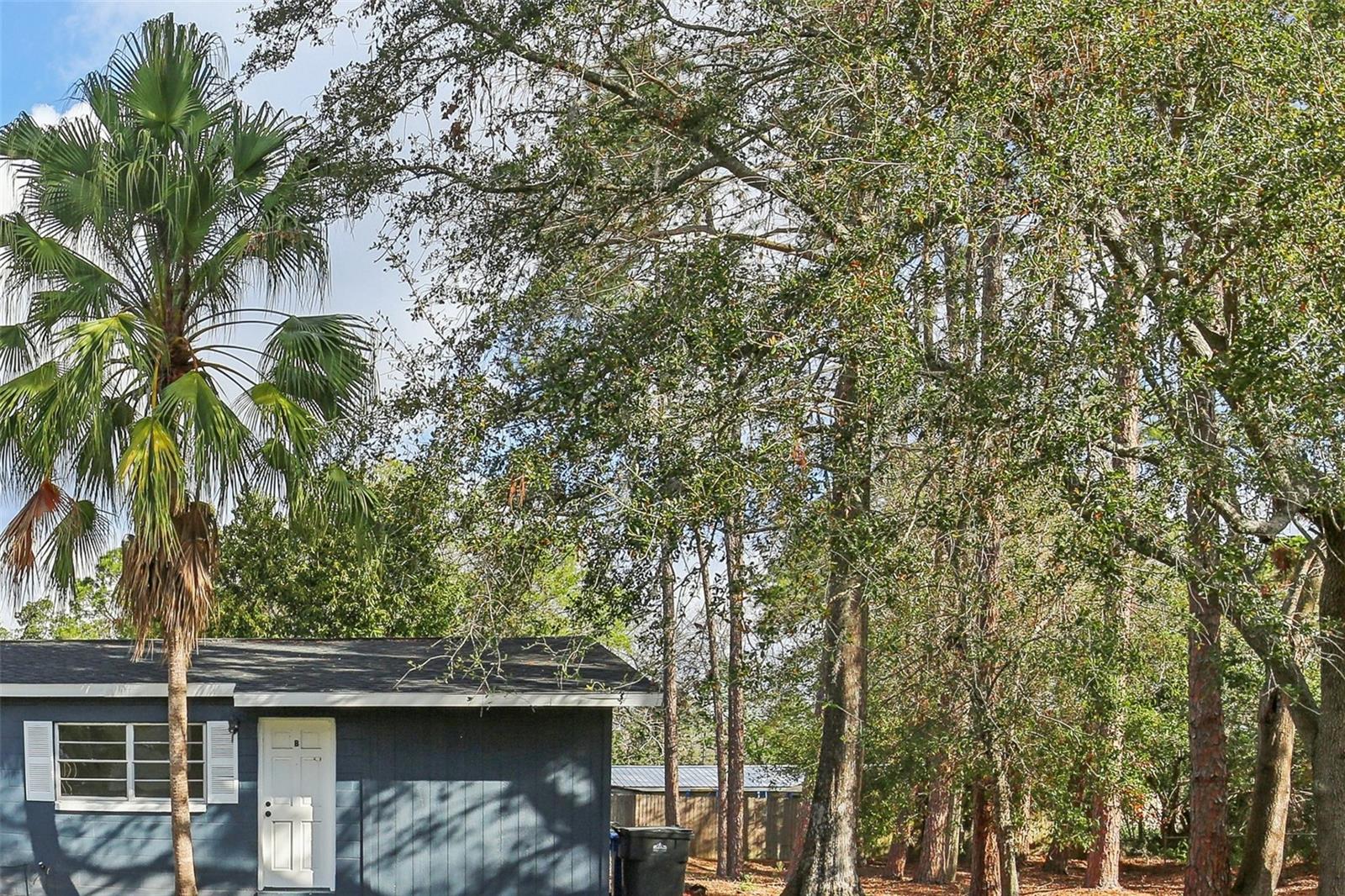 Residential Lease in TAMPA 3