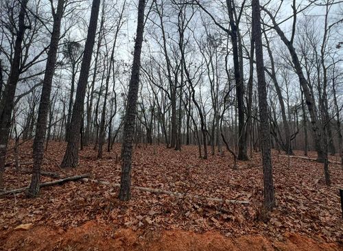 0 Heather Cir, Waverly Hall, GA, 31831 | Card Image