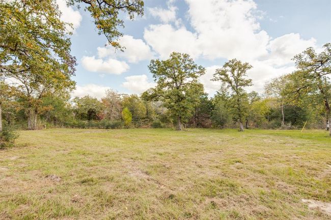 Open area | Image 12
