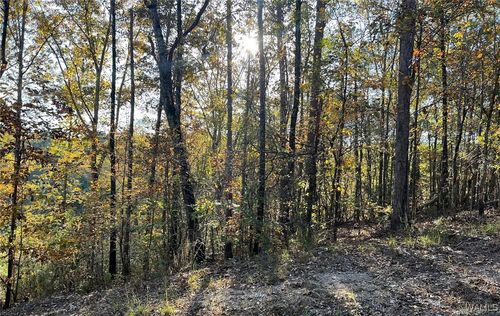 Lot 7 Allison Dr, Mc Calla, AL, 35111 | Card Image