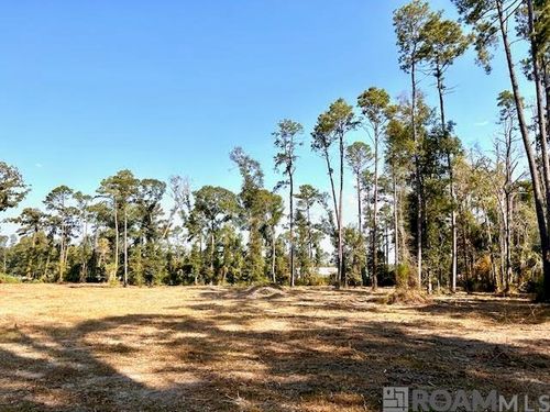 TBD Catholic Hall Rd, Albany, LA, 70711 | Card Image