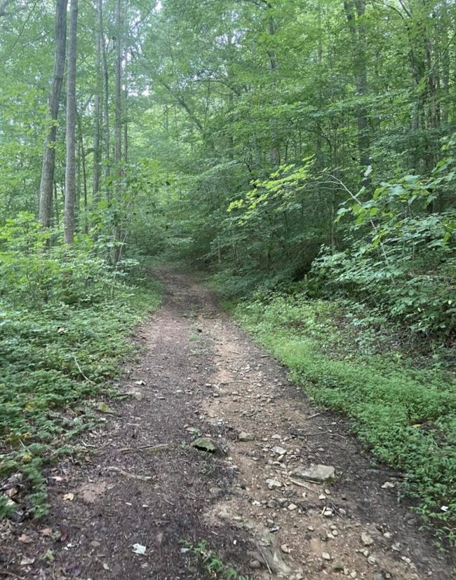 45 Kinkaid Rd, Home with 0 bedrooms, 0 bathrooms and null parking in Manchester KY | Image 22