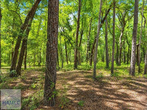 1044 Frontage Rd, Darien, GA, 31305 | Card Image