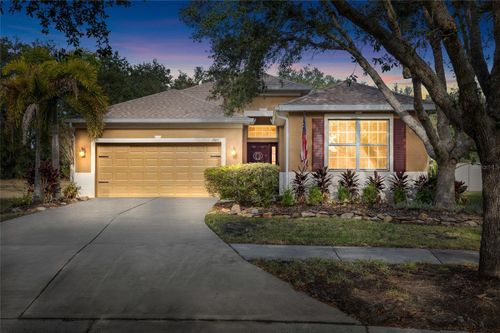 17425 New Cross Cir, LITHIA, FL, 33547-4916 | Card Image