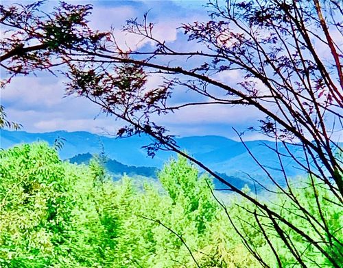 1.34 acres, Lot 234 Waterfall Lane, Lenoir, NC, 28645 | Card Image