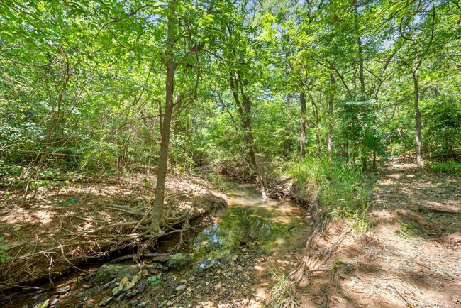 View of landscape | Image 10