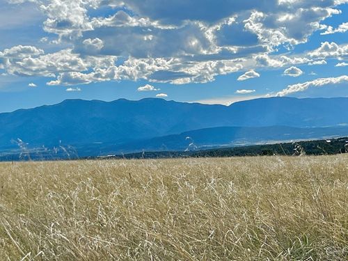 5897 Amanda Ln, Rye, CO, 81069-8980 | Card Image
