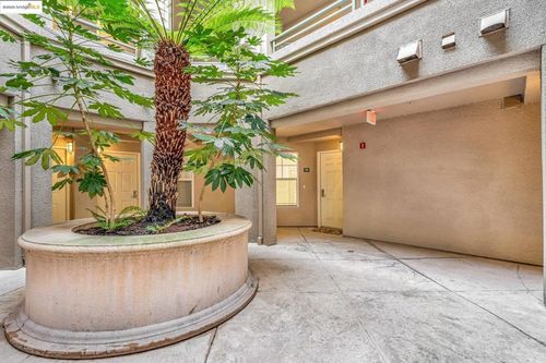 300 Caldecott Ln, Oakland, CA, 94618-2420 | Card Image