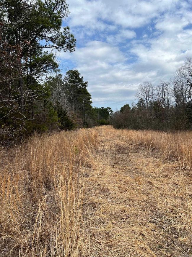 00 Yates Ln, Home with 0 bedrooms, 0 bathrooms and null parking in Tumbling Shoals AR | Image 9