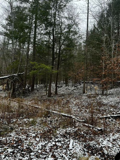 Lot 114 Paradise Dr, Campton, KY, 41301 | Card Image