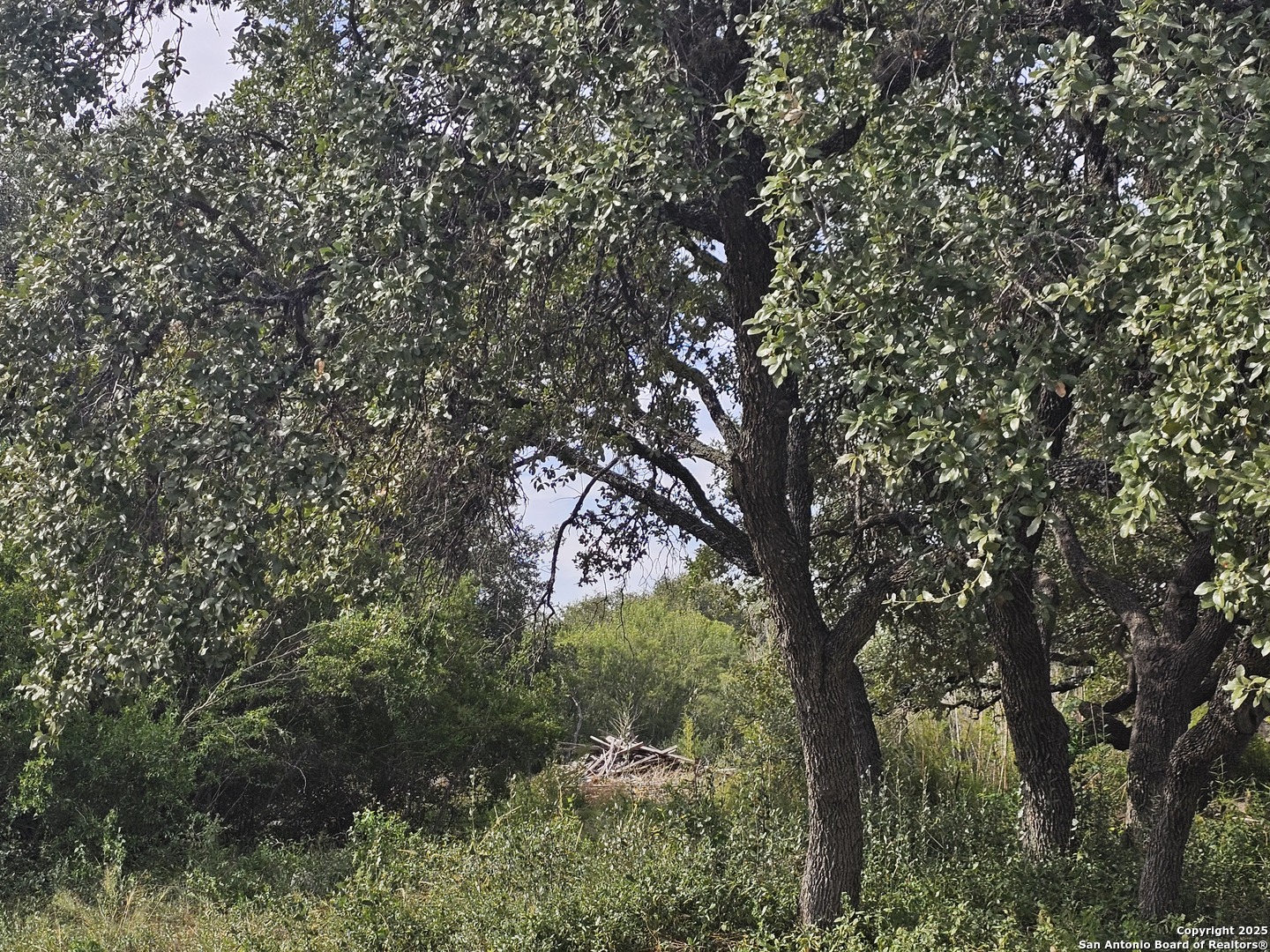 Land in San Antonio 4