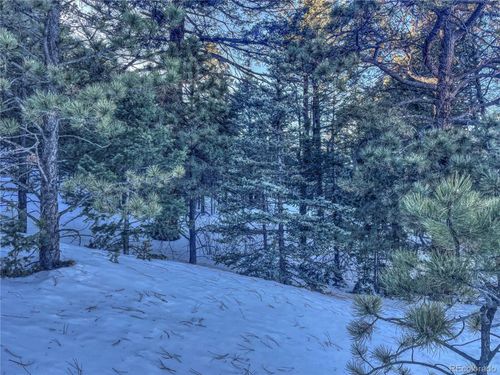 1174 Monarch Dr, Cripple Creek, CO, 80813 | Card Image