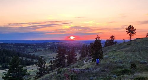 sc-28-TBD Lone Rock Canyon Lane, Hysham, MT, 59076 | Card Image