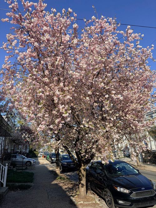 450 Leverington Ave, PHILADELPHIA, PA, 19128-3314 | Card Image