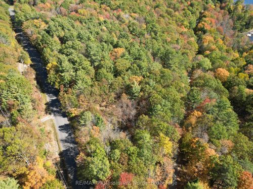 PT LT 7 CON 3 Buckslide Road, Algonquin Highlands, ON, K0M1S0 | Card Image