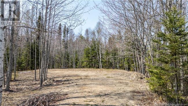 1387 Bells Mills Rd, Home with 0 bedrooms, 0 bathrooms and null parking in Richibouctou-Village NB | Image 17