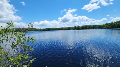 36 Johnson Rd, Fitzwilliam, NH, 03447-3184 | Card Image