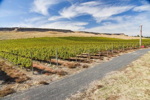 73809 Rattlesnake Rd, Arlington, OR, 97812-6576 | Card Image