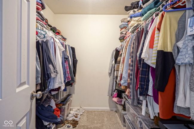 spacious closet with carpet | Image 21