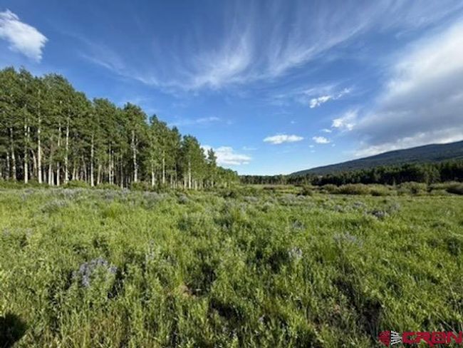 41014 Beaver Trail Ln, House other with 4 bedrooms, 2 bathrooms and null parking in Paonia CO | Image 39