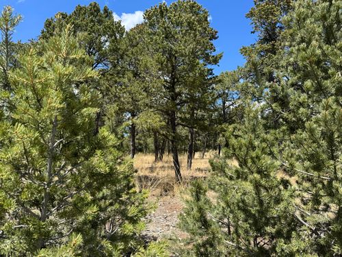 17 Wild Wing Cir, Pecos, NM, 87552-2507 | Card Image