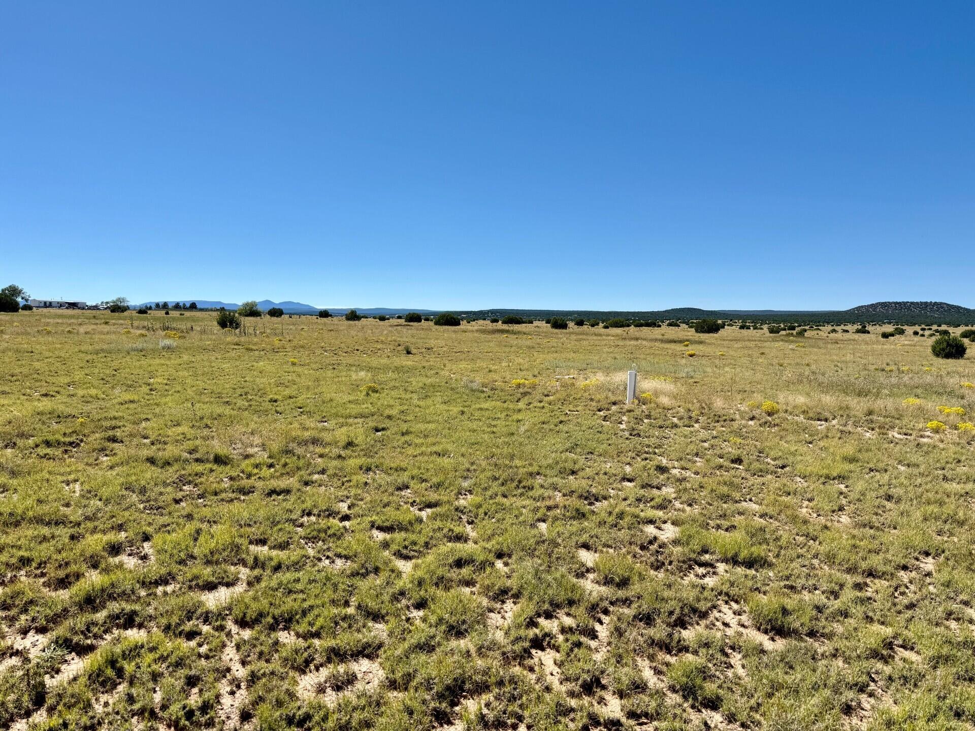 Land in Moriarty 5