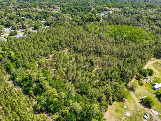 0 Carter Rd, Home with 0 bedrooms, 0 bathrooms and null parking in Saint Augustine FL | Image 16