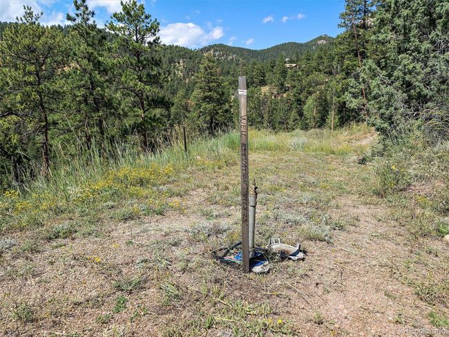 13809 Elsie Rd, Home with 0 bedrooms, 0 bathrooms and null parking in Conifer CO | Image 7