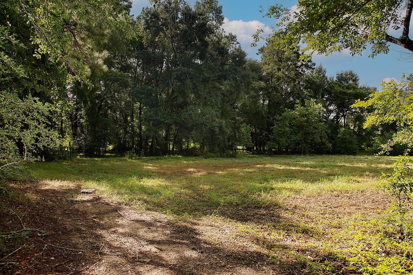 Land in Spring 4