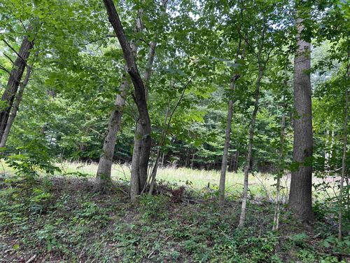 Lot 4 E Run Cir, Farmington, WV, 26571 | Card Image