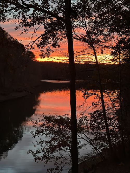 141 Whippoorwill Cove Rd, Winchester, TN, 37398-3748 | Card Image