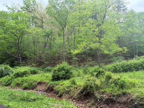 0 Coleman Rd, West Portsmouth, OH, 45663 | Card Image