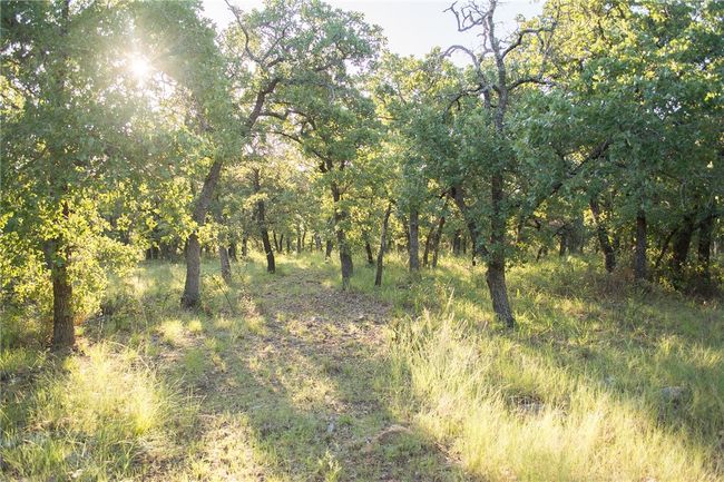 1020 Post Oak Rd, Home with 0 bedrooms, 0 bathrooms and null parking in Gordon TX | Image 32