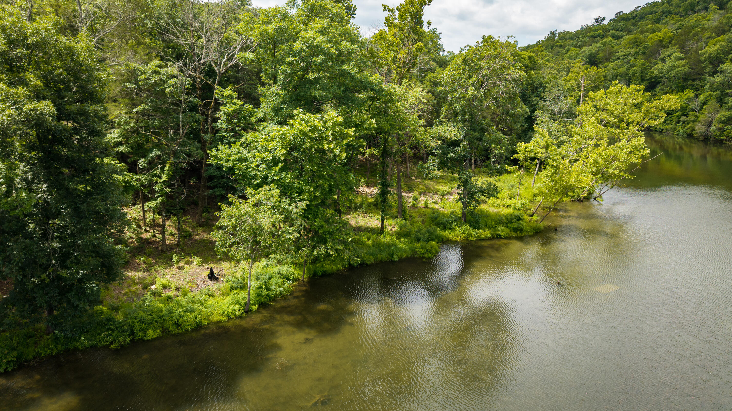 Land in Kirbyville 4