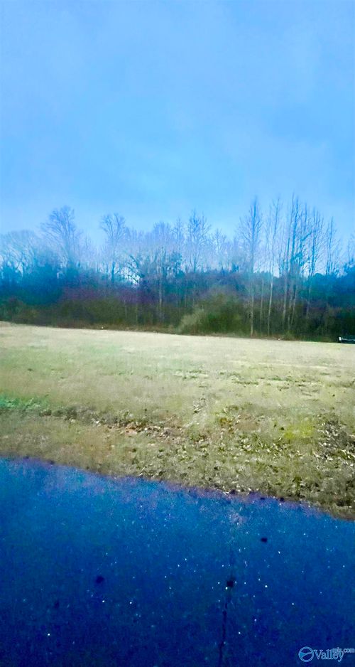 Lot 1 Holcomb Rd, Guntersville, AL, 35976-5564 | Card Image