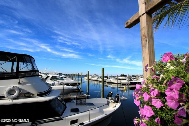 Numerous Marinas around the beautiful rivers and inlets. | Image 24