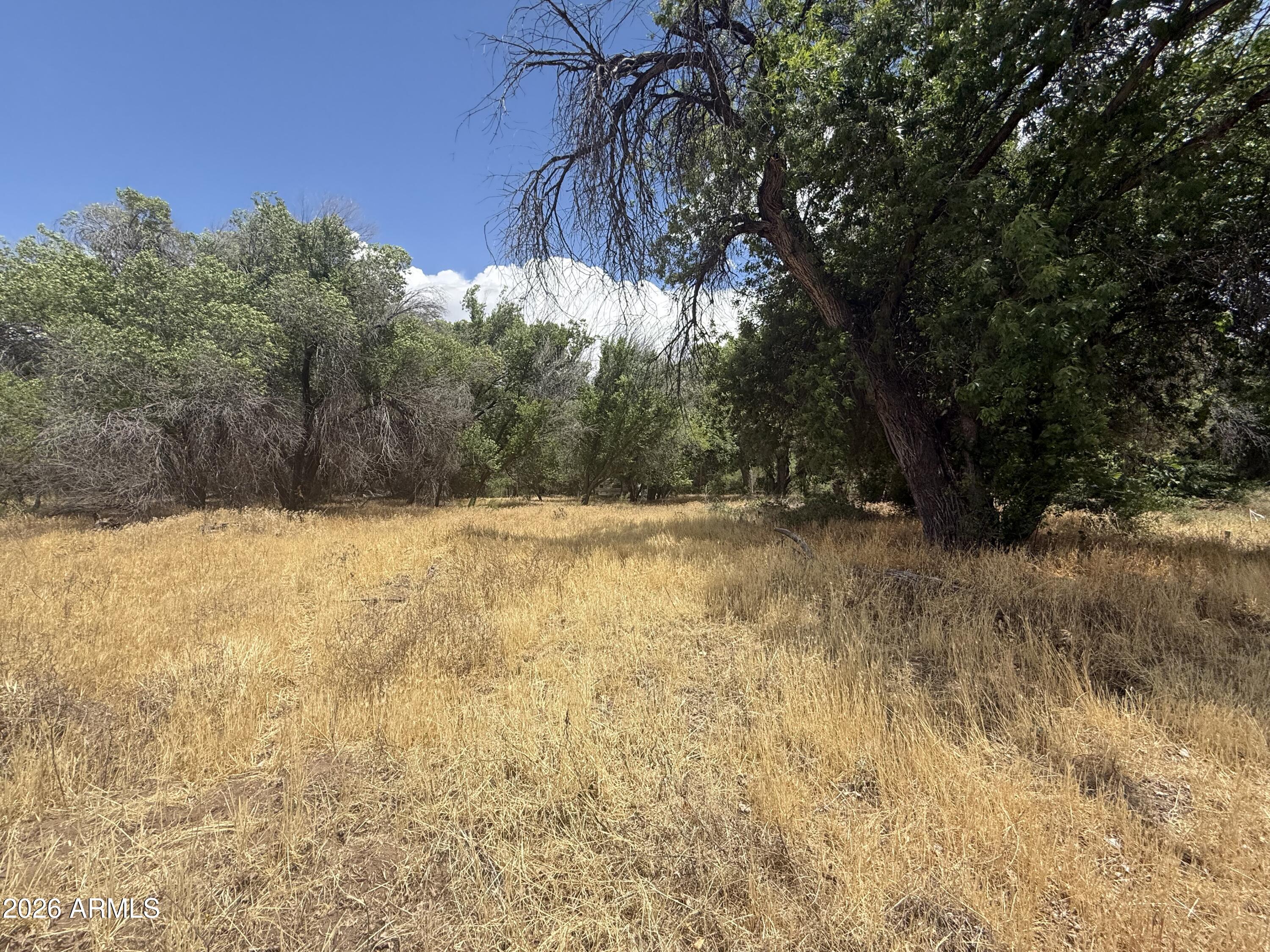 Land in Camp Verde 4