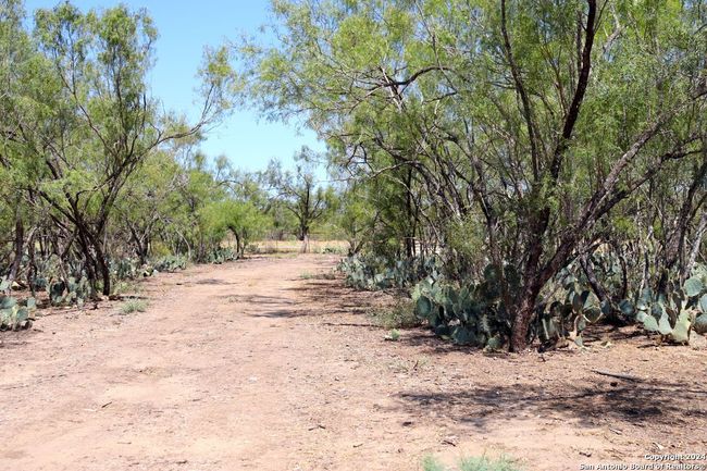 11943 Fm 472, Home with 1 bedrooms, 1 bathrooms and null parking in Bigfoot TX | Image 5
