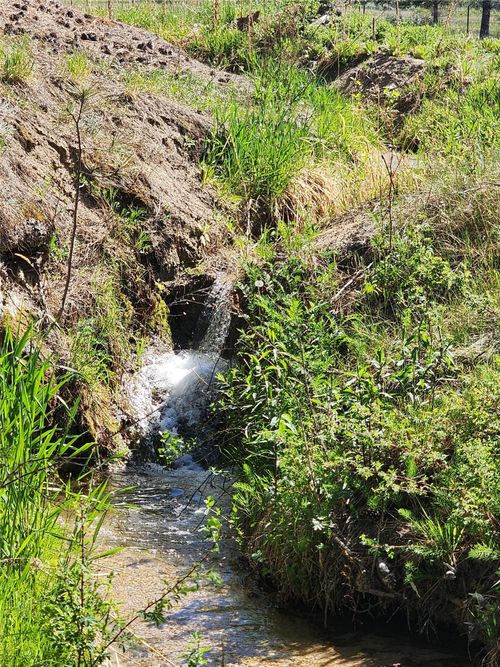 837 Home Run Rd, Corvallis, MT, 59828-9355 | Card Image