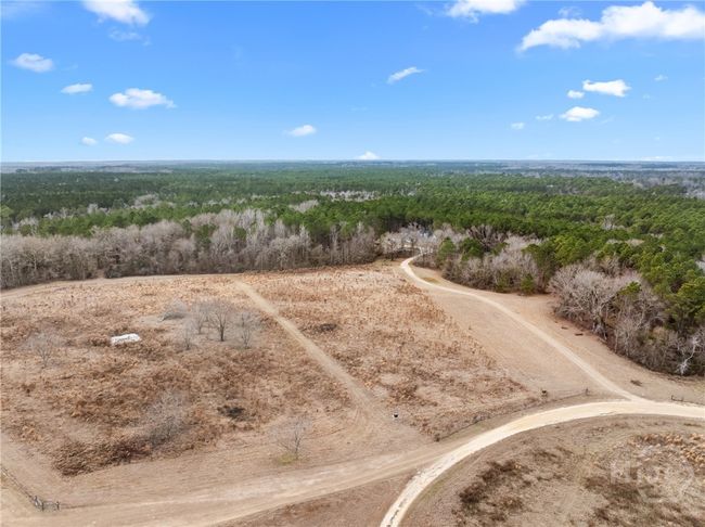0 Banks Dairy Rd, Home with 0 bedrooms, 0 bathrooms and null parking in Portal GA | Image 11
