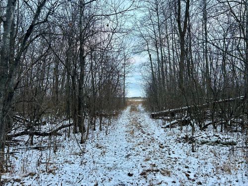 TBD 160th St Ne, Thief River Falls, MN, 56701 | Card Image