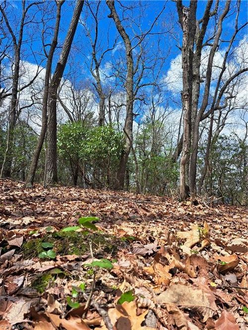 TBD Mountain View Dr, Lowgap, NC, 27024 | Card Image