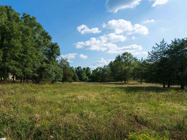 734 W Ridgeway Rd, House other with 5 bedrooms, 5 bathrooms and 5 parking in Honea Path SC | Image 38