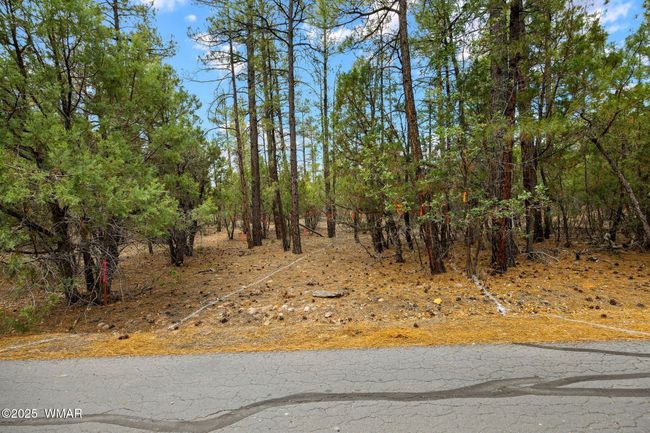 4021WRedtwigLn-ShowLow-AZ-3 | Image 30