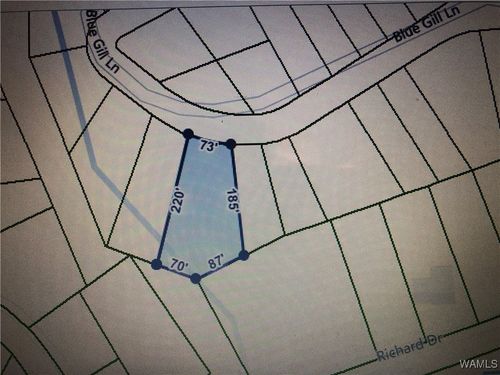 00 Blue Gill Ln, Mc Calla, AL, 35111 | Card Image