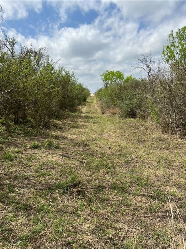 0 Blackbrush Spur, Home with 0 bedrooms, 0 bathrooms and null parking in George West TX | Image 7