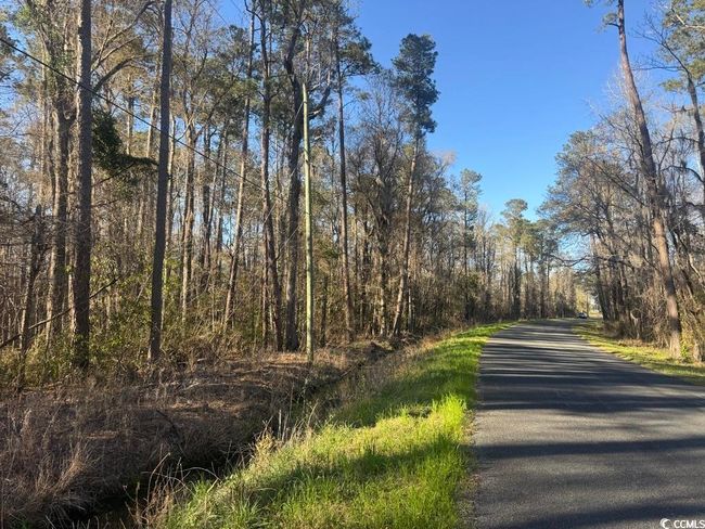 2135 Highway 646, Home with 0 bedrooms, 0 bathrooms and null parking in Green Sea SC | Image 10