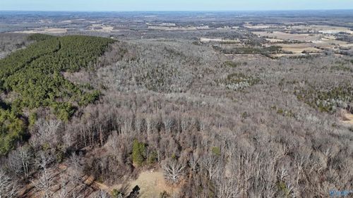 82 Acres County Road 81, Russellville, AL, 35653 | Card Image