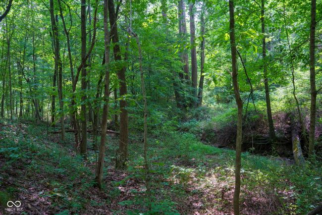 1000 N County Road 825 W, Home with 0 bedrooms, 0 bathrooms and null parking in Medora IN | Image 12