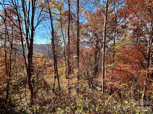 57-0 Grizzly Rdg, Bryson City, NC, 28713 | Card Image